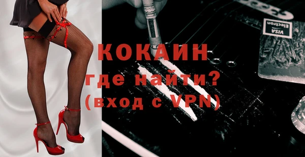 индика Бронницы