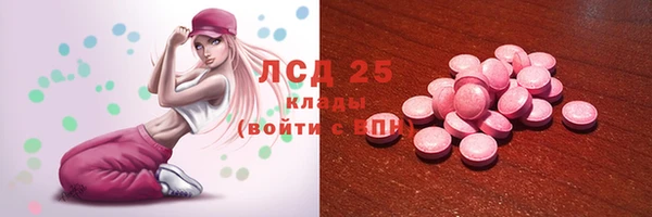 гидропоника Богородицк