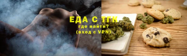 индика Бронницы