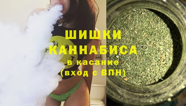 сатива Бугульма