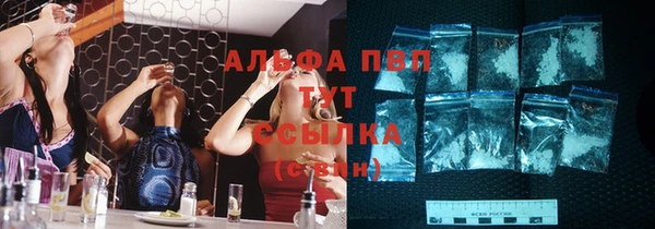 дмт Богородск