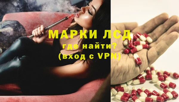 сатива Бугульма