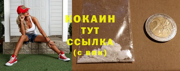 дмт Богородск