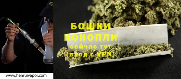 индика Бронницы